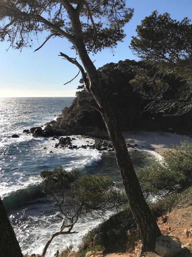 Villa Lucienne Bandol , T2 4 Etoiles Avec Garage, Dans Les Calanques المظهر الخارجي الصورة