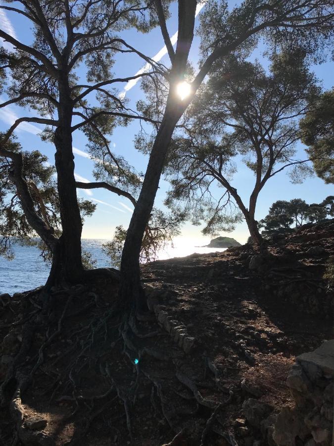 Villa Lucienne Bandol , T2 4 Etoiles Avec Garage, Dans Les Calanques المظهر الخارجي الصورة